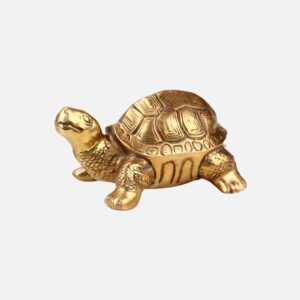 Feng Shui Turtle
